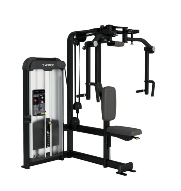 Fly/Rear Delt