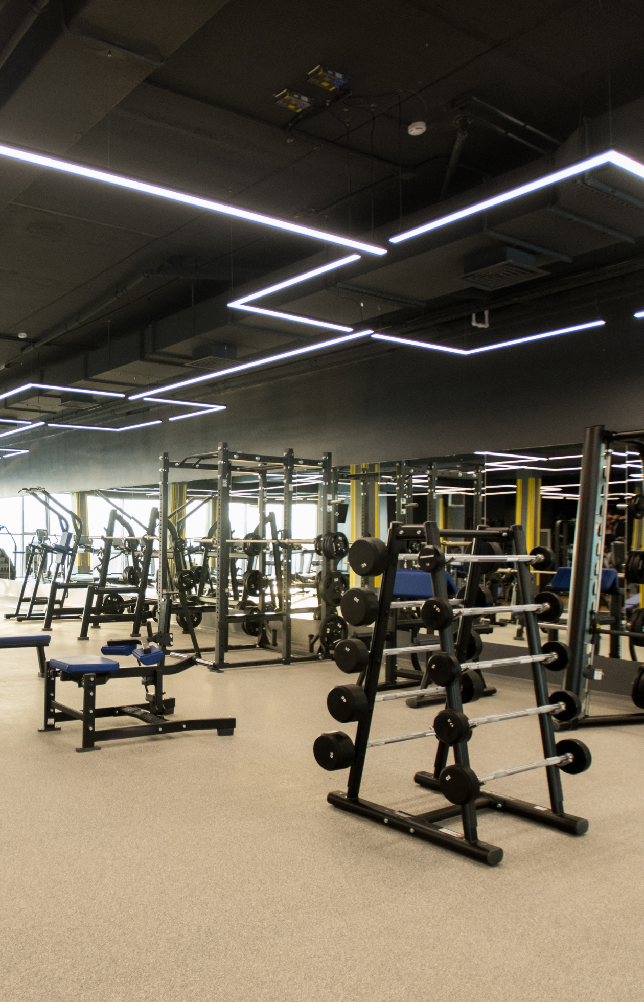Large assortment of gym exercise machines and strength equipment in a professionally designed fitness facility by Alpine Fitness, showcasing commercial gym design, fitness center layout planning, gym equipment installation, strength training and cardio zones, functional training space optimization, and custom gym design services for home and commercial fitness facilities. Contact us today for help with gym design, gym design services, fitness facility design, commercial gym design, home gym design, custom gym layout, gym floor plan design, gym setup services, gym build out, fitness center design, gym equipment planning, gym equipment installation, strength training gym design, cardio equipment layout, functional training space design, weight room design, athletic facility design, school gym design, university gym design, corporate gym design, apartment gym design, garage gym design, basement gym design, luxury home gym design, gym renovation services, gym space optimization, gym design near me, home gym design near me, commercial gym design near me, fitness center setup near me, gym equipment supply and installation, performance training facility design, wellness and recovery space design, multi-use fitness space planning.
