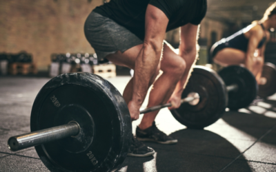 How to Build Muscle