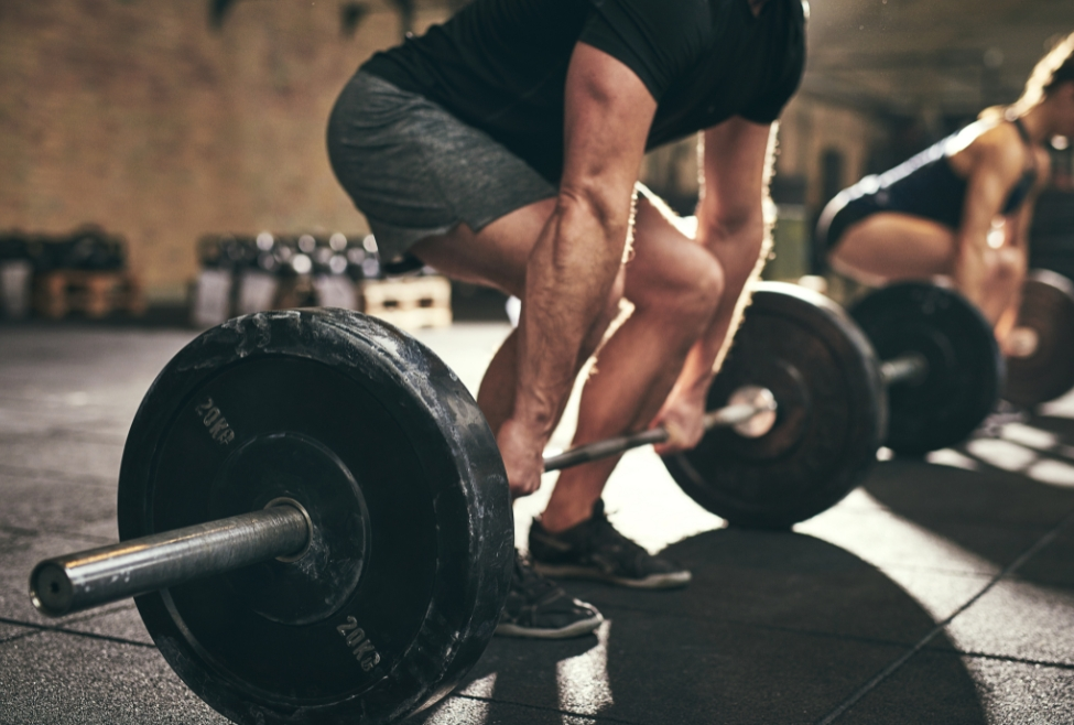 How to Build Muscle
