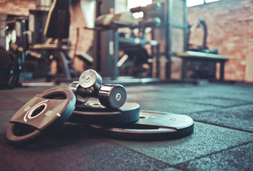 What Is the Best Gym for Beginners?