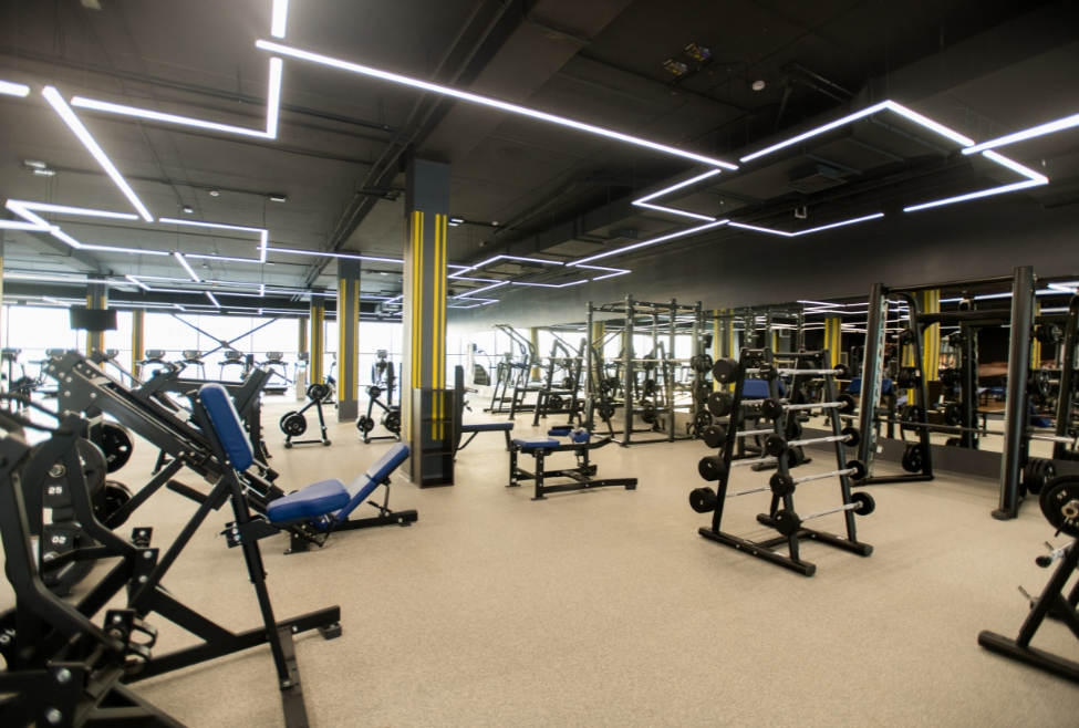 How Much Does It Cost to Create Your Own Gym?