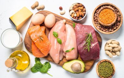 What Foods Are High in Protein?