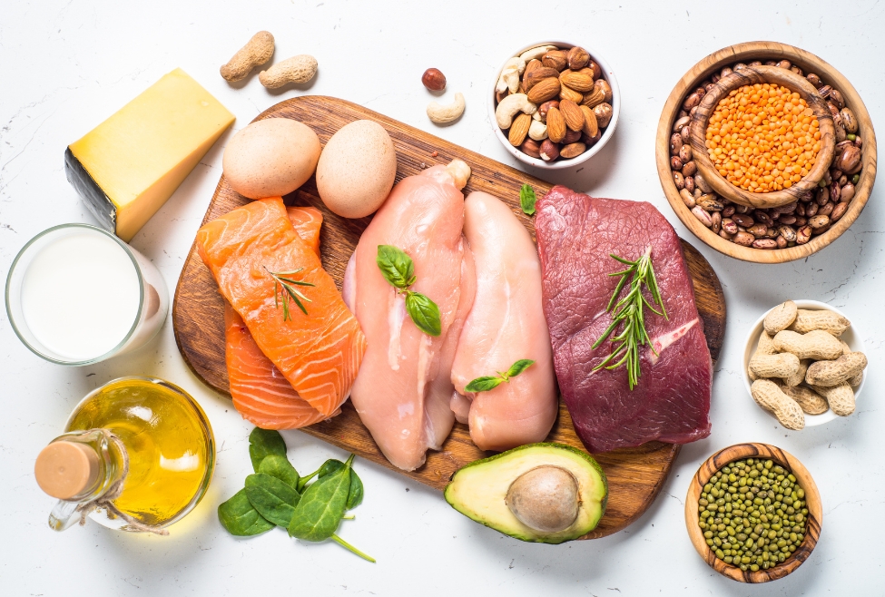 What Foods Are High in Protein?